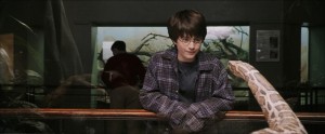 Create meme: Harry Potter and the philosopher, Harry Potter and the philosopher's stone, Harry Potter