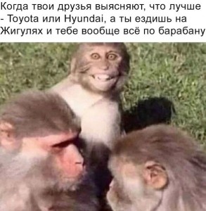 Создать мем: funny monkey, monkey, животные обезьяны