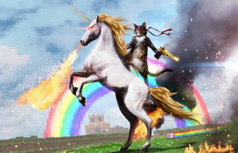 Create meme: cat on a unicorn, a cat riding a unicorn, rainbow unicorn