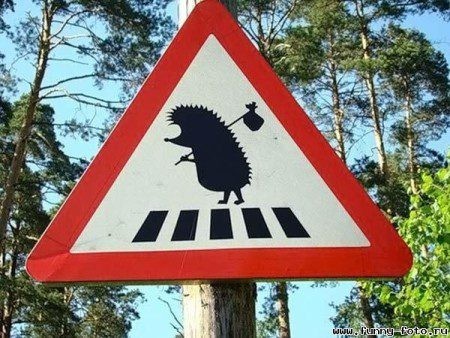 Create meme: funny road signs, unusual road signs, non-existent road signs