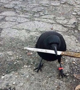 Создать мем: nothing personal kid, you mess with crabo you get a stabo, злая утка с ножом