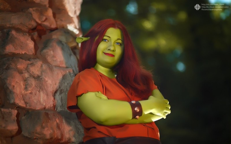 Create meme: Shrek , Princess Fiona, Fiona from Shrek