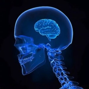 Create meme: human skeleton, brain, our brain