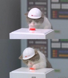 Создать мем: коттв каске нажимает на кнопку, кот, мем кот