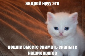 Create meme: kitty, cat, cat