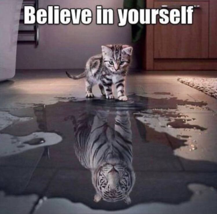 Create meme: the cat in the reflection of the tiger, a kitten in the reflection of a tiger, tiger cat