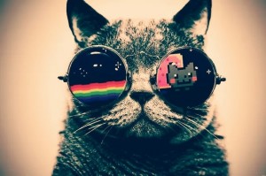 Create meme: cat in glasses pictures, avatar cat in glasses, Wallpaper cat in the glasses
