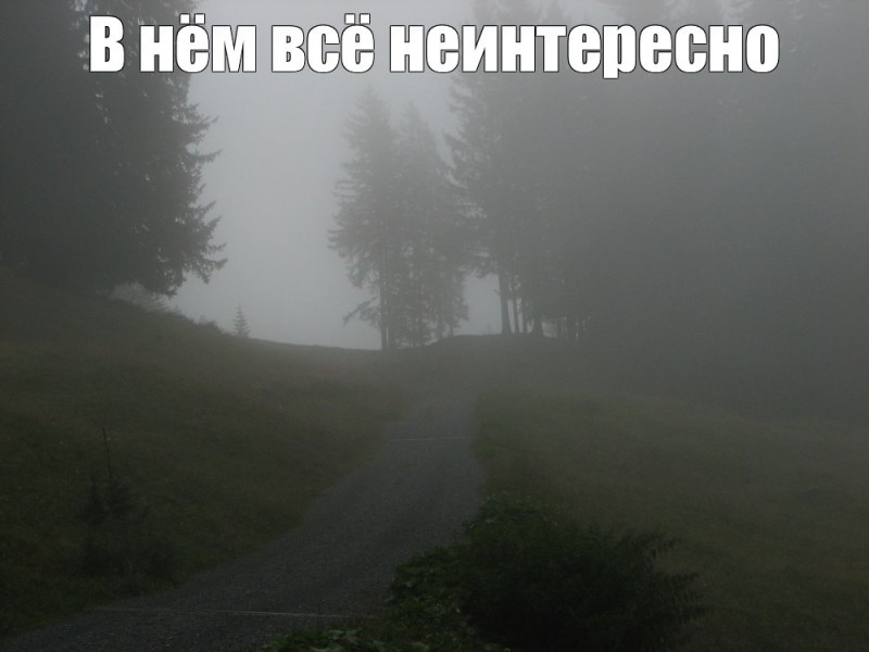Создать мем: природа туман, лес горы, прикол