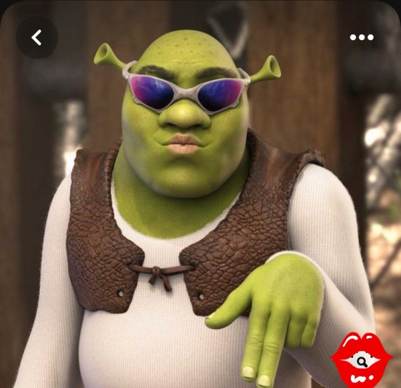 Create meme: Shrek 2 , Shrek the ogre, Shrek Shrek