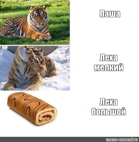 Выбрать другой шаблон. #тигр мем. #мем тигр с когла поспал час. 