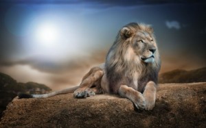 Create meme: Leo stone, man among animals Wallpaper, lion