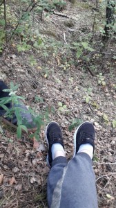 Create meme: forest, shoes