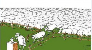 Создать мем: картина овечки на пастбище, баран карикатура, sheep and sheep dog comix