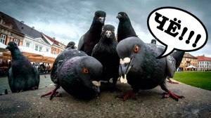 Create meme: pigeon., evil dove, dove