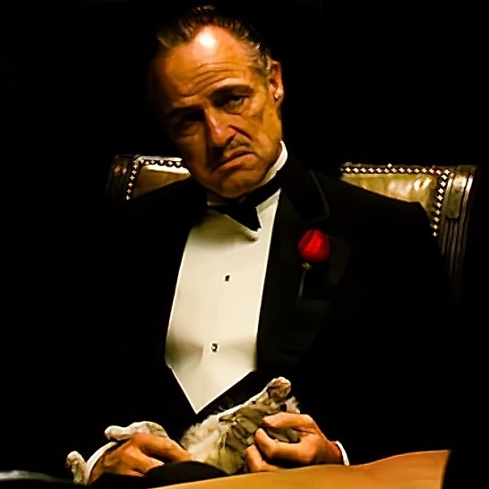 Create meme: don Corleone , don Corleone memes, meme of don Corleone 