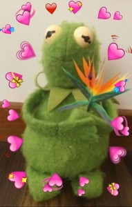 Create meme: Kermit the frog with hearts, Kermit the frog, Kermit the frog
