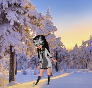 Create meme: winter landscape, winter forest, winter