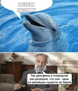 Создать мем: так дельфины доказали мем, так дельфины доказали, так дельфины в очередной раз