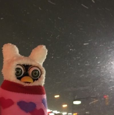 Create meme: furby interactive toy, Furby , furby 