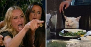 Create meme: meme with screaming woman and a cat, meme with a cat and two women, woman yelling at cat