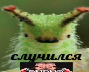 Create meme: caterpillar Denis, caterpillar Leri