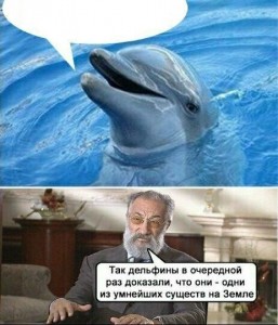 Create meme: Dolphin, intelligent creatures, tak