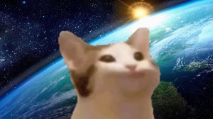 Создать мем: кошка, в космос, cat