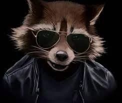 Create meme: Mama AMA kriminal , people , cool raccoon with glasses