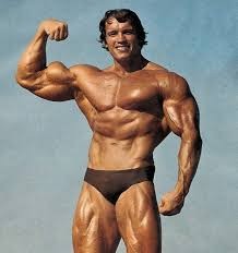 Create meme: bodybuilding, diet Schwarzenegger, bodybuilder