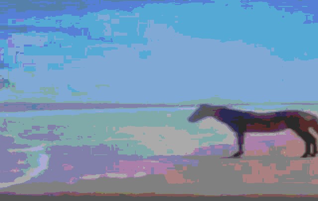 Create meme: meme horse , horse , meme with a horse by the sea