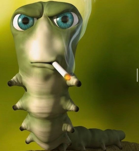 Create meme: caterpillar with a cigarette meme, caterpillar with a cigarette, The worm with the cigarette meme