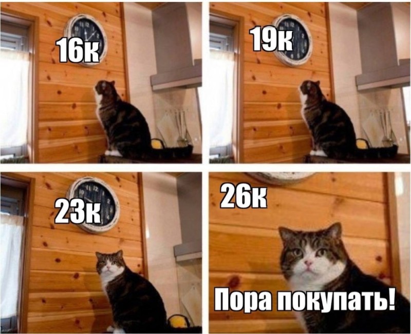 Create meme: cat meme , It's time cat, meme the cat and watches