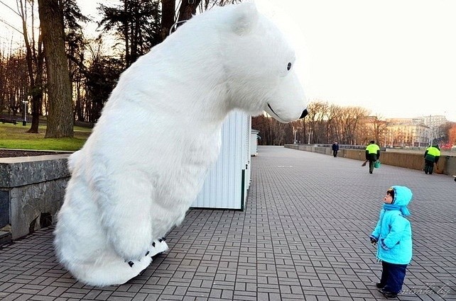 Create meme: giant polar bear, polar bear , white bear 