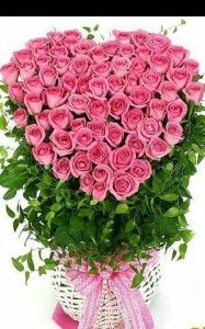 Create meme: bouquet of roses, bouquet of pink roses, pink roses