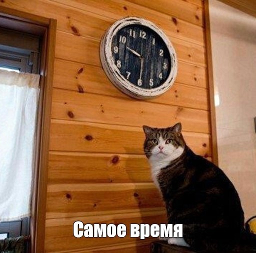 Создать мем: мем кот пора, кот пора, кот смотрит на часы мем