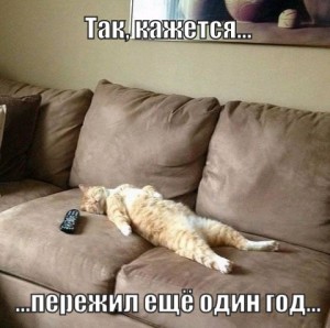 Создать мем: ленивый кот на диване, валяться на диване, кот валяется на диване