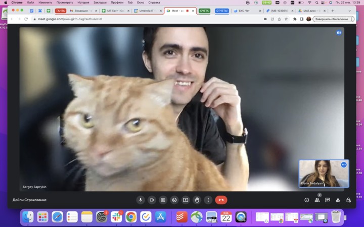 Create meme: cat , photo editor, screenshot 