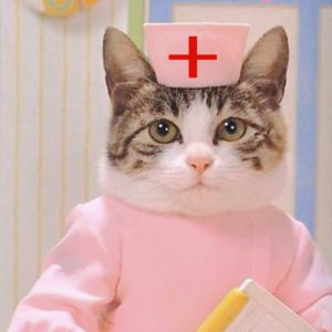 Создать мем: кот врач мем, кот медсестра, доктор кот