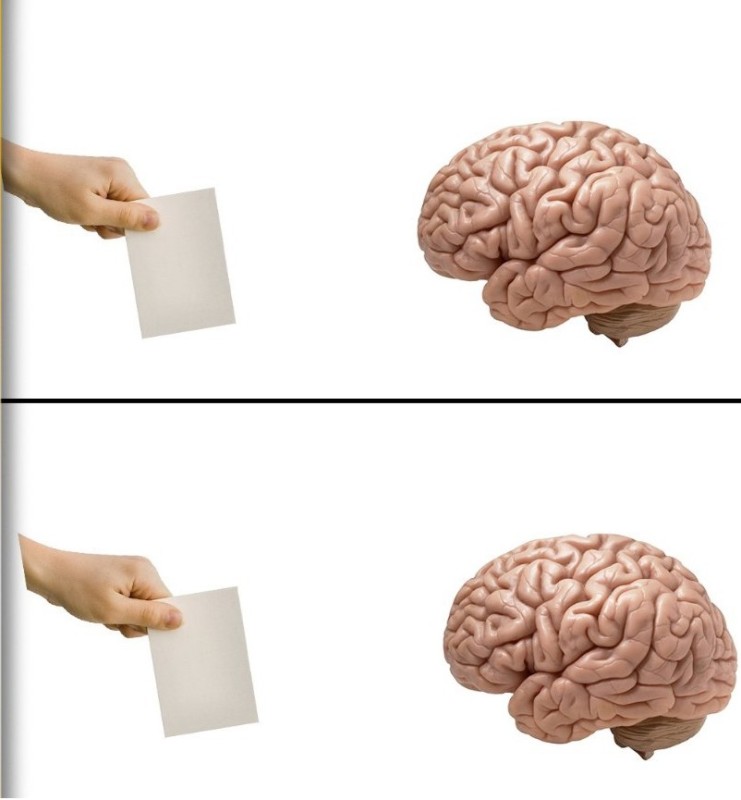 Создать мем: головной мозг, мозги, сложный мозг