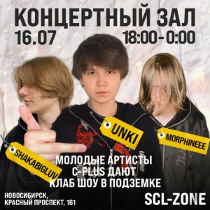 Create meme: recital, Russian rock band, concert