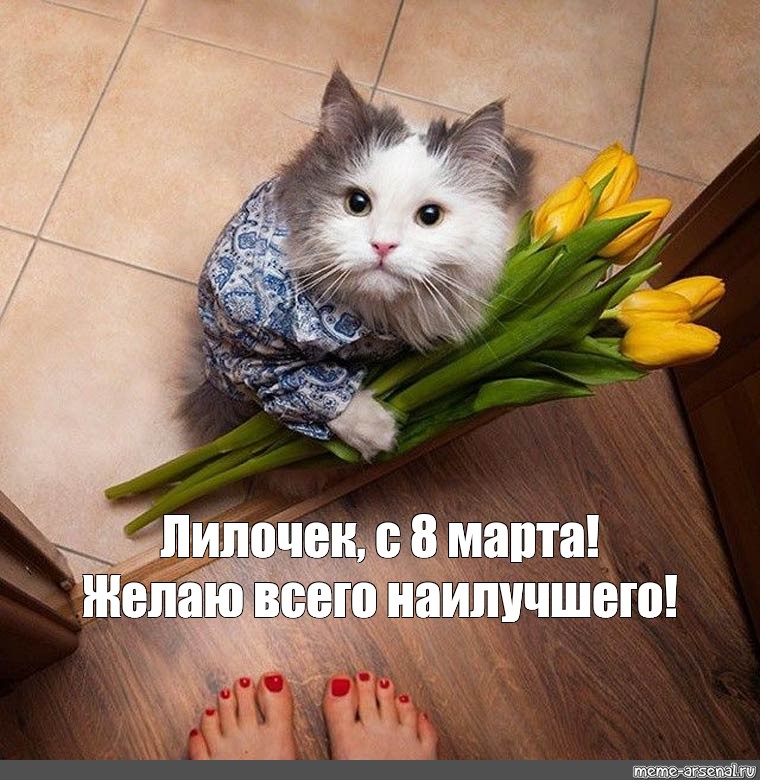 Meme: "Лилочек, с 8 марта!Желаю всего наилучшего! 