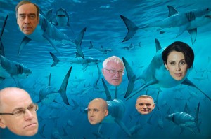 Create meme: shark, Sharks 2, Among the sharks