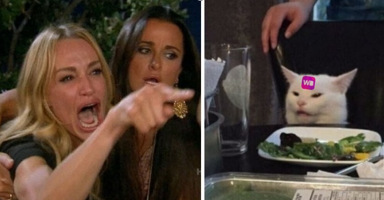 Создать мем: кот мем, мем с котом за столом, мем бабы и кот