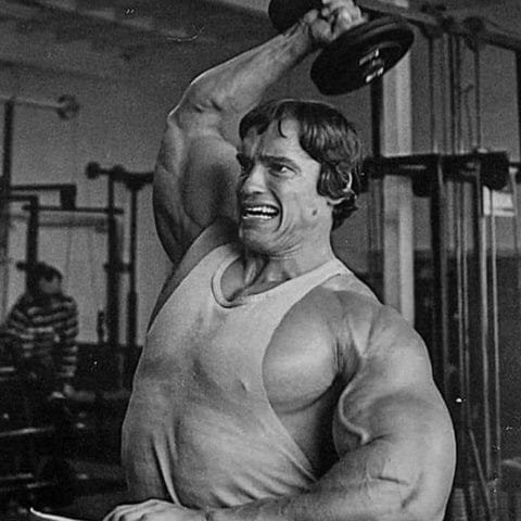 Create meme: Arnold Schwarzenegger bodybuilding workout, Arnold Schwarzenegger on mass, Mr. Olympia Arnold Schwarzenegger