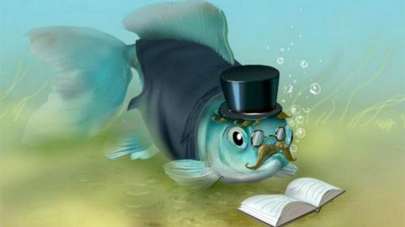 Создать мем: самая умная рыба, рыба иллюстрация, рыба в шляпе