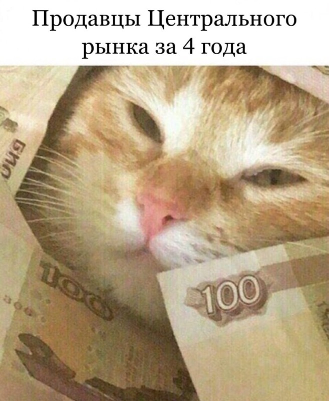 Create meme: cat money, cash cat, money cat