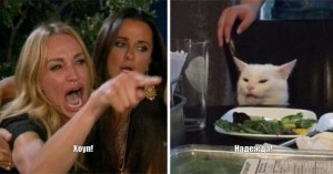 Create meme: the meme with the cat at the table, meme woman yelling at the cat, the meme with the cat and the girls