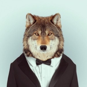 Create meme: Wolf in a suit