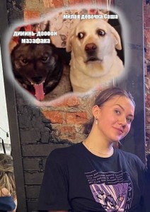 Create meme: funny animals, Labrador dog, meme dog