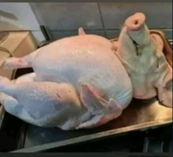 Create meme: chicken , a chicken with a pig's head, broiler meat